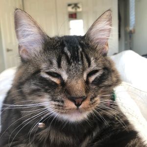 Meet your Posher, Troy